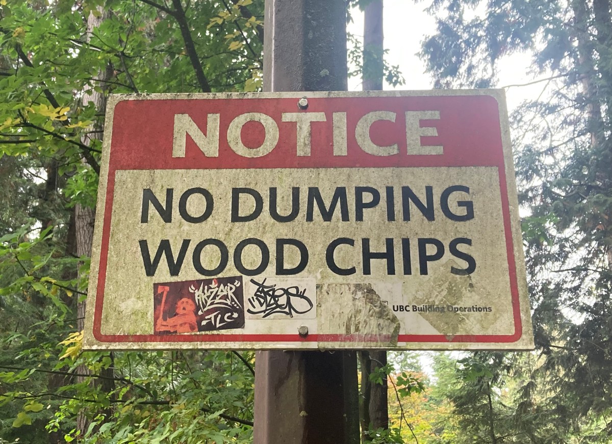 When is a squirrel not a&nbsp;squirrel?